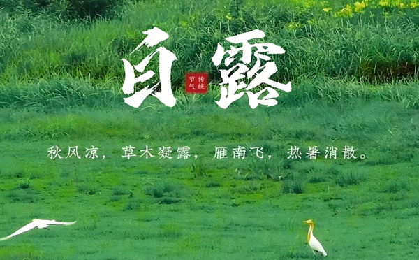 和田白露清新，新创洁与您共享洁净之美